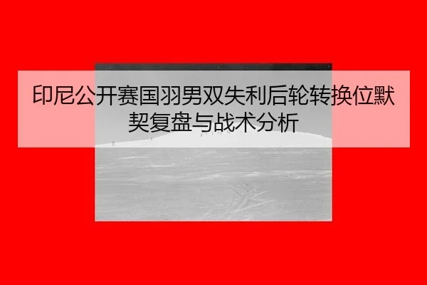 yin-ni-gong-kai-sai-guo-yu-nan-shuang-shi-li-hou-lun-zhuan-huan-wei-mo-qi-fu-pan-yu-zhan-shu-fen-xi-2-166.jpg