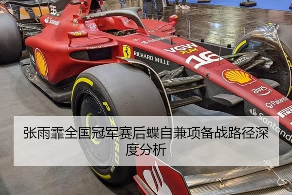 张雨霏全国冠军赛后蝶自兼项备战路径深度分析（db game）